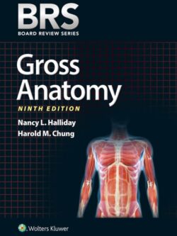 BRS Gross Anatomy (9th Edition) – (Board Review Series) – eBook PDF