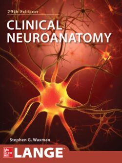 Clinical Neuroanatomy (29th Edition) – eBook PDF