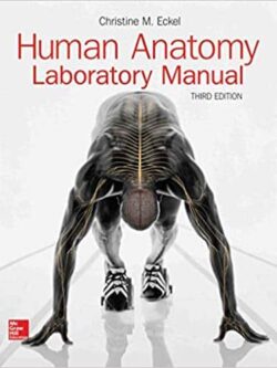 Human Anatomy Lab Manual (3rd Edition) – eBook PDF