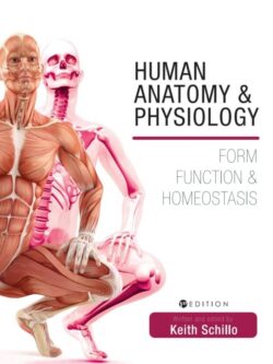 Human Anatomy and Physiology: Form, Function and Homeostasis – eBook PDF