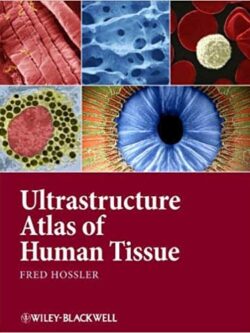 Ultrastructure Atlas of Human Tissues – eBook PDF