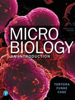 Microbiology: An Introduction (13th Edition) – eBook