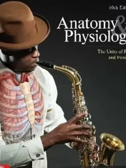 Saladin Anatomy and Physiology (10th Edition) – PDF