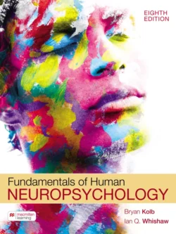 Fundamentals of Human Neuropsychology (8th Edition) – PDF