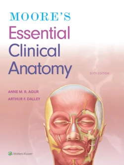 Moore’s Essential Clinical Anatomy (6th Edition) – PDF