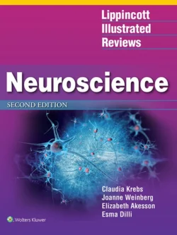 Lippincott Illustrated Reviews: Neuroscience (2nd Edition) – PDF
