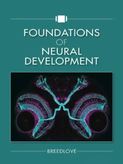 Foundations of Neural Development – Breedlove – PDF