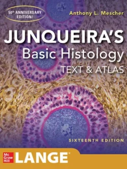 Junqueira’s Basic Histology: Text and Atlas (16th Edition) – PDF